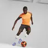Puma individualCUP Antrenman Şortu