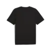 Puma GRAPHICS Skateboard Tee Siyah Erkek T-Shirt & Polo
