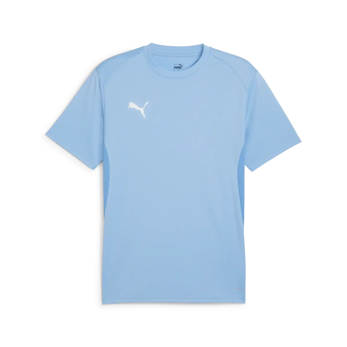 Puma teamGOAL Jersey Mavi Erkek T-Shirt