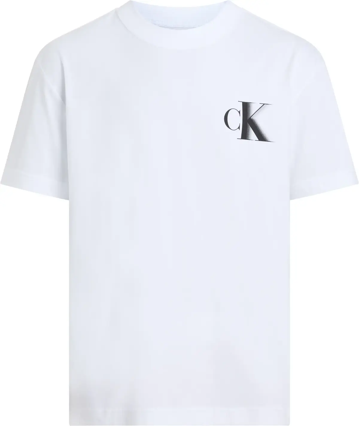 Calvin Klein Beyaz Erkek T-Shirt & Polo