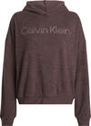 Calvin Klein HOODIE Kadın Kahverengi Hoodie