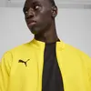 Puma teamGOAL Training Jacket Sarı Erkek Antrenman Ceketi