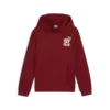 Puma ESS+ MID 90S Hoodie TR Erkek Sweatshirt