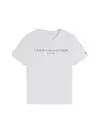 REG CORP LOGO C-NK S, YCF