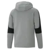 Puma EVOSTRIPE Core FZ Hoodie Gri Erkek Fermuarlı Ceket
