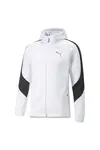 Puma Evostripe Full-Zip Hoodie Beyaz Erkek Fermuarlı Hoodie