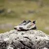 Puma Explore NITRO Bej Erkek Günlük Spor Ayakkabı