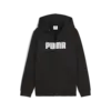 Puma ESS Logo Full-Zip Hoodie FL Siyah Erkek Sweatshirt