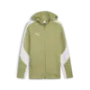 Puma teamEVOSTRIPE Hooded Jacket Erkek Sweatshirt