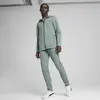 PUMA EVOSTRIPE Full-Zip Hoodie Yeşil Erkek Fermuarlı Ceket