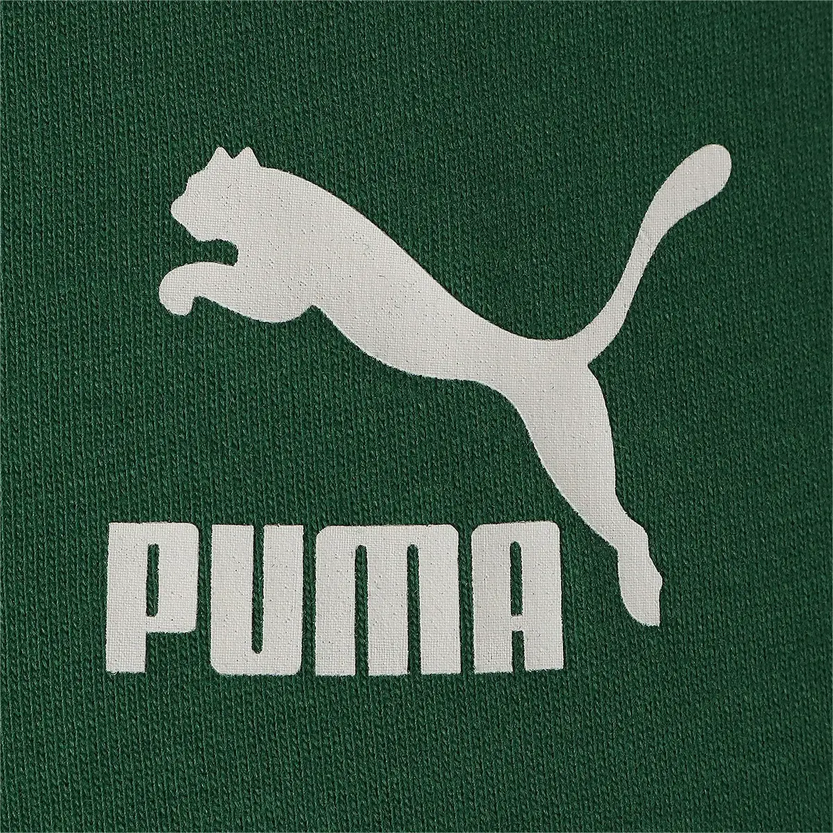 Puma Classics Oversized Yeşil Erkek T-Shirt