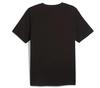 Puma GRAPHICS Photoprint Tee Siyah Erkek T-Shirt