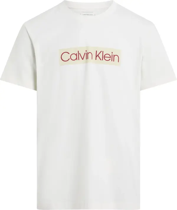 Calvin Klein Beyaz Erkek T-Shirt & Polo