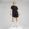 Puma EVOSTRIPE Shorts DK Siyah Erkek Şort