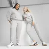 Puma ESS Small No. 1 Logo Sweatpants TR cl Gri Kadın Eşofman Altı