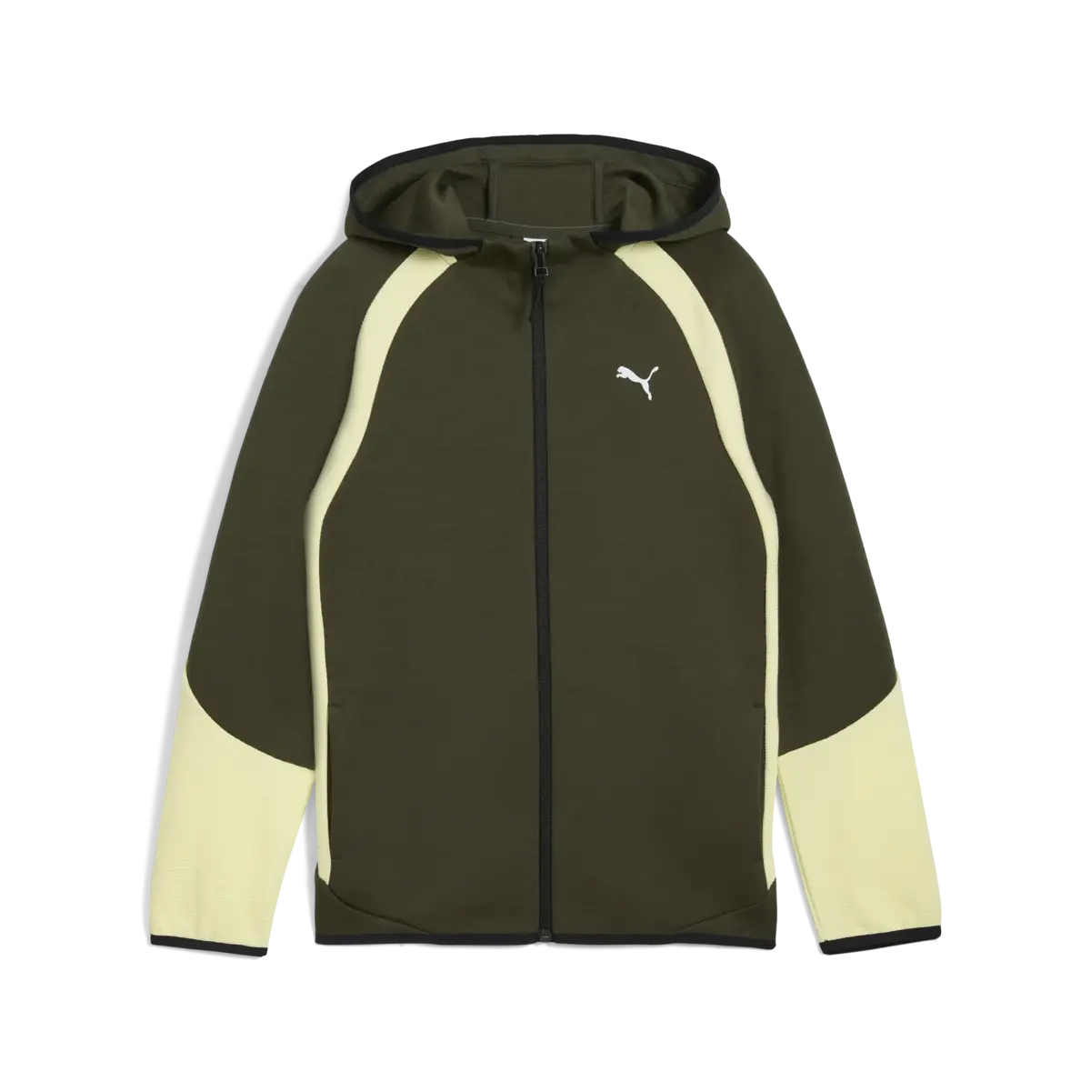 Puma EVOSTRIPE Full-Zip Hoodie Yeşil Unisex Sweatshirt