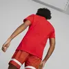 Puma Franchise Core Basketball T-Shirt