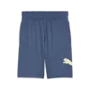 Puma TRAIN 10" SHORT Mavi Erkek Şort