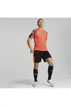 Puma İndividualfınal Wc Jersey Kırmızı Erkek Takım Forması