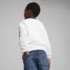 PUMA PUMA X TROLLS Crew TR PUMA White Beyaz Çocuk Sweatshirt