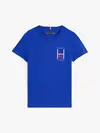Tommy Hilfiger TH GRAPHIC REG TEE S, D03 Lacivert Erkek T-Shirt & Polo