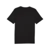 Puma GRAPHIC Tee Siyah Erkek T-Shirt