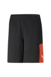 Puma İndividualfınal Training Shorts Siyah Erkek Futbol Şort