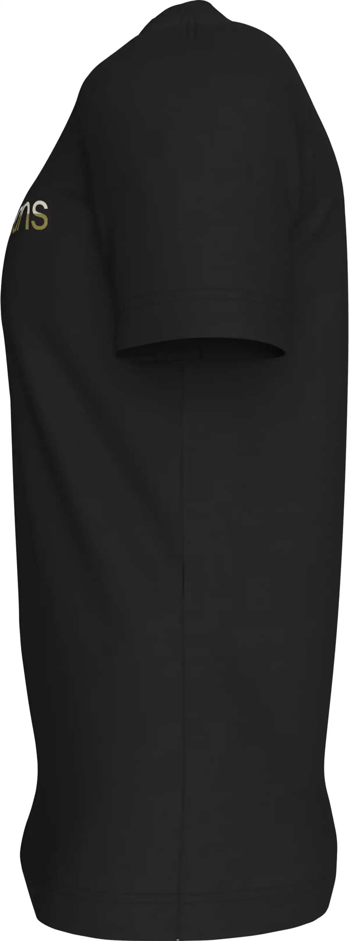 Calvin Klein MIXED INSTITUTIONAL, 0GO Siyah Erkek T-Shirt & Polo