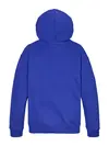 WAVING FLAG HOODIE, D03
