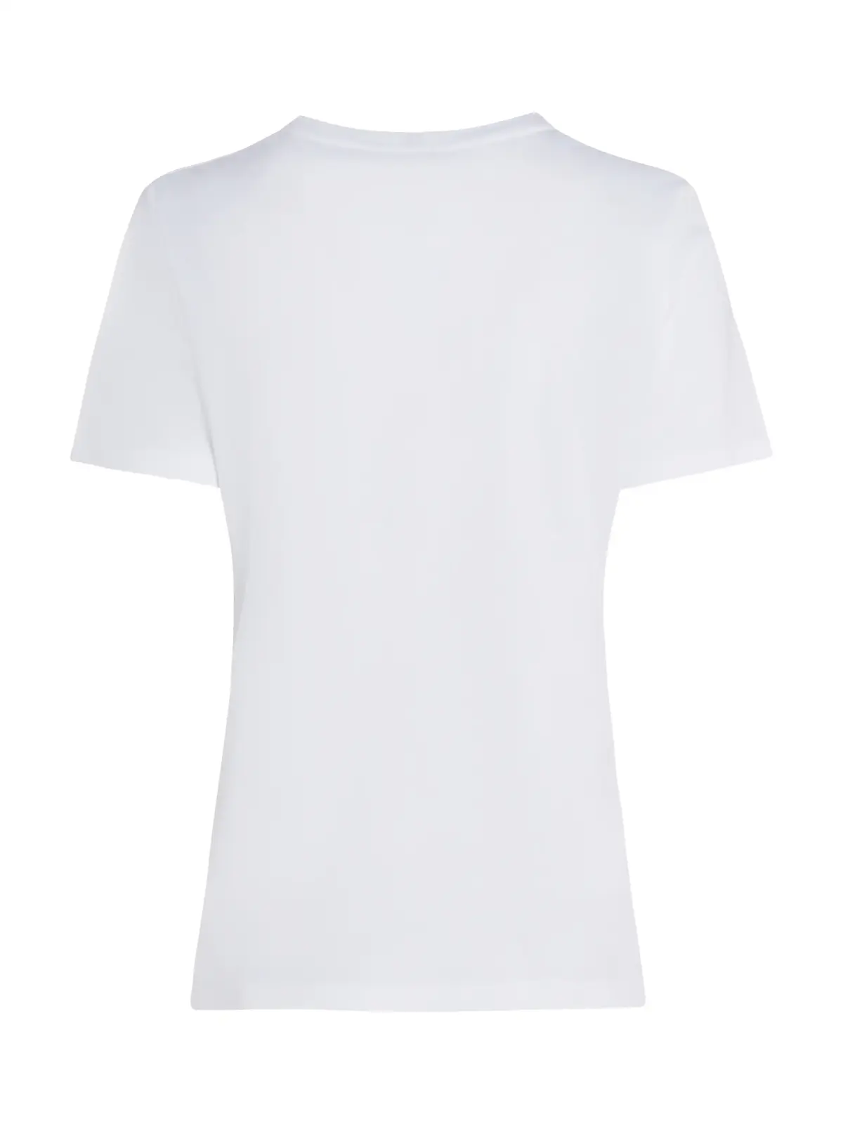 REG CORP LOGO C-NK S, YCF