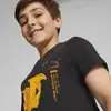 Puma X Pokemon Tee Kids Siyah Erkek Çocuk T-Shirt