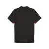 Puma GSK EVOSTRIPE Polo Siyah Erkek Polo T-Shirt