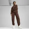 Puma ESS ELEVATED Hoodie Kahverengi Kadın Sweatshirt