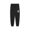 Puma Posterize Sweatpant Siyah Erkek Eşofman Altı