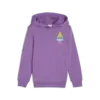 Puma X TROLLS Hoodie Mor Unisex Sweatshirt