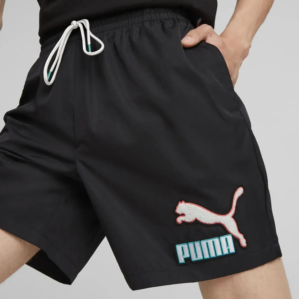 Puma Fandom Shorts Siyah Erkek Günlük Şort