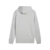 Puma F1 ESS Full-Zip Hoodie Gri Erkek Hoodie