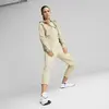 Puma EVOSTRIPE Full-Zip Hoodie Granola Kadın Hoodie