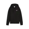 PUMA ESS Small No. 1 Logo Hoodie Kadın Siyah Hoodie
