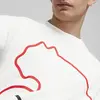 Puma GRAPHICS Big Cat Tee Beyaz Erkek T-Shirt & Polo