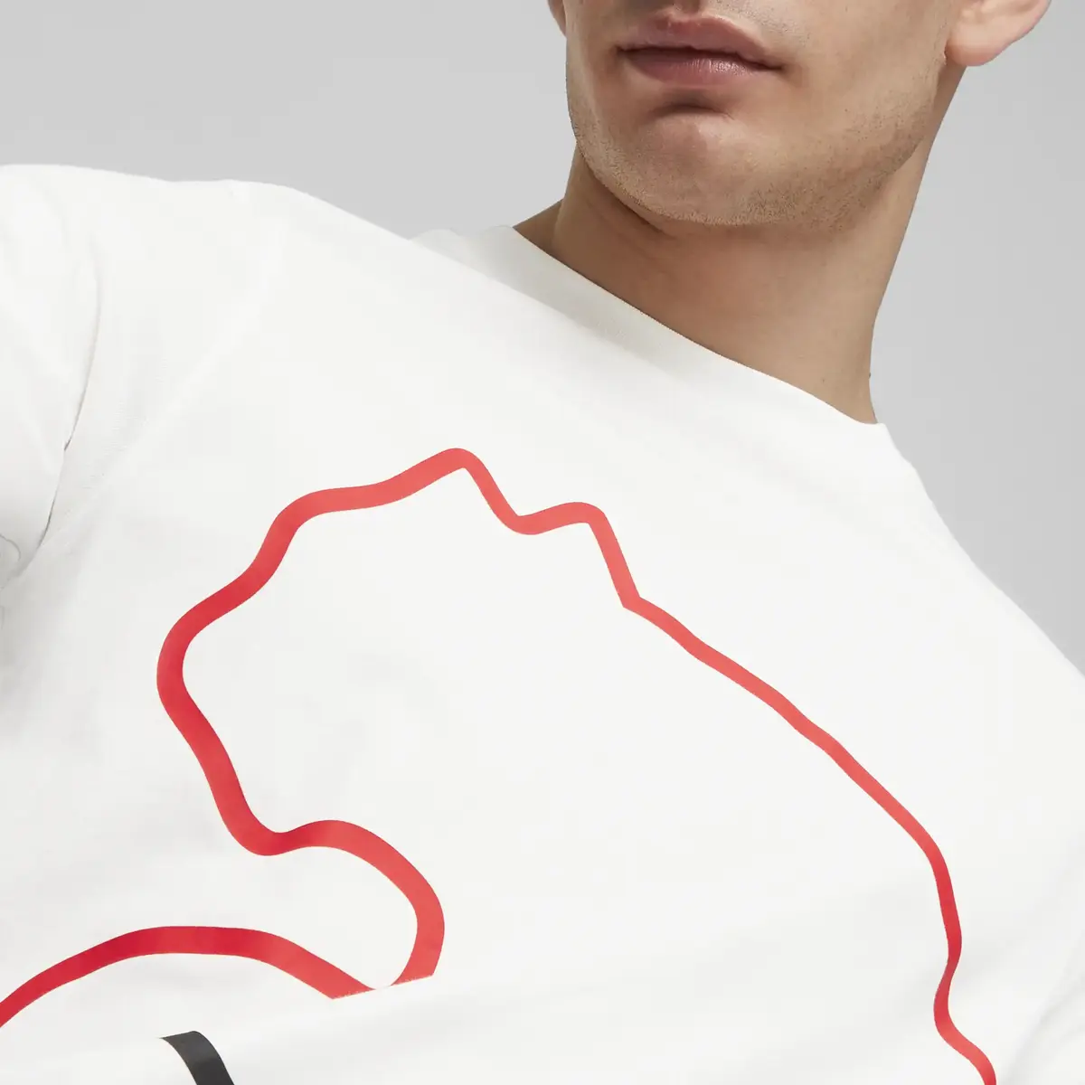 Puma GRAPHICS Big Cat Tee Beyaz Erkek T-Shirt & Polo