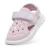 Puma Evolve Sandal AC Inf Unisex Terlik