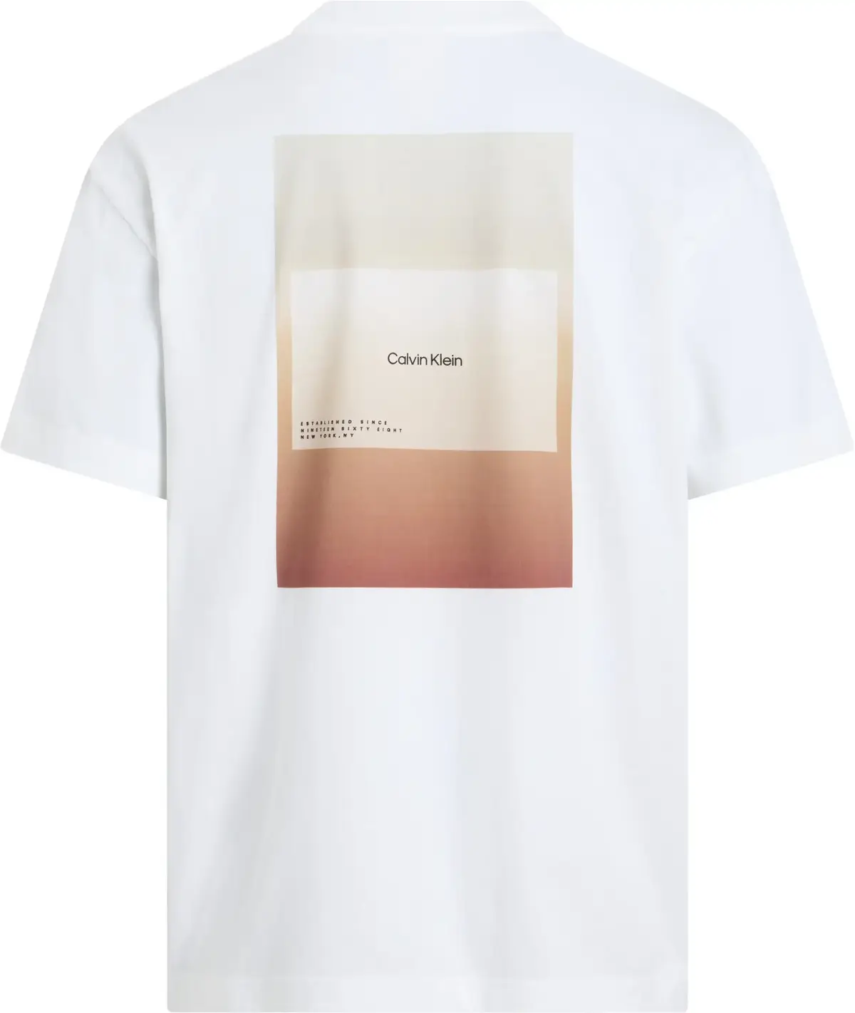 Calvin Klein OVERLAY PRINT T-SHIR, YAF Beyaz Erkek T-Shirt & Polo