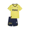 Puma FSK Away Minikit Blazing Yellow-Medieval Sarı Çocuk Forma