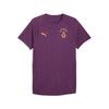Puma GSK EVOSTRIPE Tee GALATASARAY EVOSTRIPE Erkek Dar Kesim Tişört