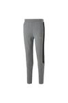 Puma Evostripe Pants Gri Erkek Eşofman Altı