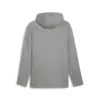 Puma EVOSTRIPE Full-Zip Hoodie Gri Erkek Sweatshirt