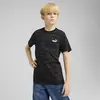 Puma MID90S AOP Tee Siyah Unisex T-Shirt & Polo