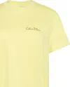 Calvin Klein SS CLASSIC GRAPHIC TEE Kadın Sarı T-Shirt