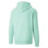 Puma SWxP Graphic HoodieTR Yeşil Erkek Hoodie